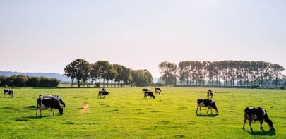 Élevages laitiers  le Cube tient ses promesses !