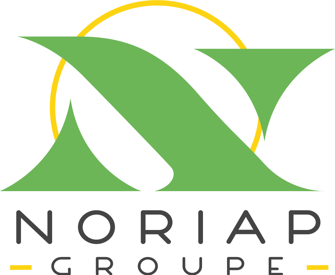 logo---noriap---light
